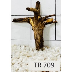 Spiderwood 709