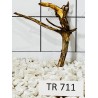 Spiderwood 711