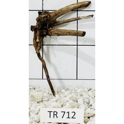 Spiderwood 712