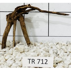 Spiderwood 712
