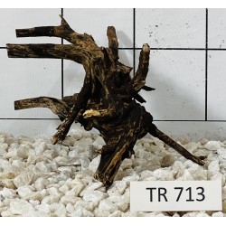 Spiderwood 713