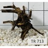 Spiderwood 713