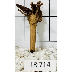Spiderwood 714