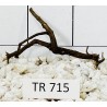 Spiderwood 715