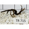 Spiderwood 715