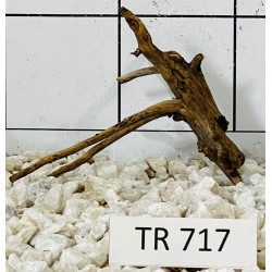 Spiderwood 717