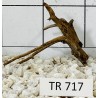 Spiderwood 717