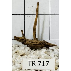 Spiderwood 717