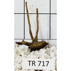 Spiderwood 717