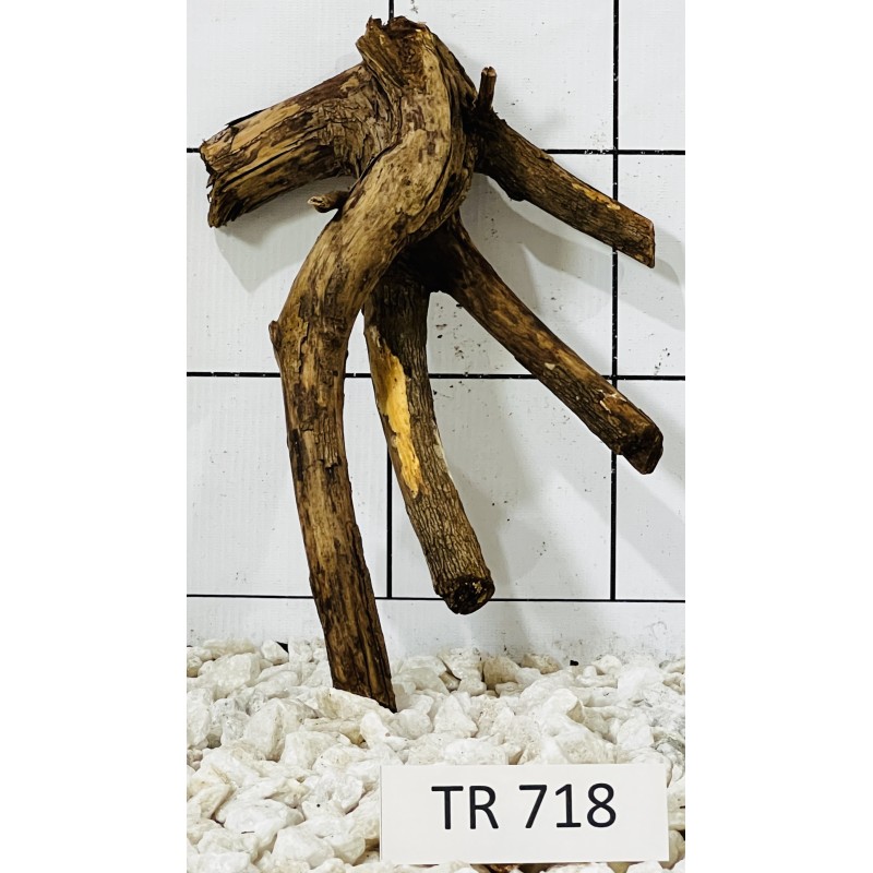 Spiderwood 718