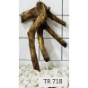 Spiderwood 718