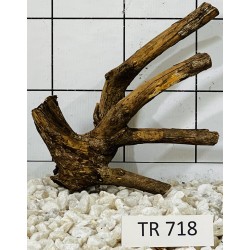 Spiderwood 718