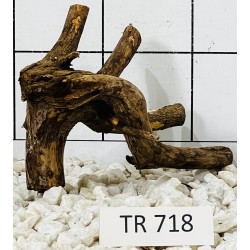 Spiderwood 718