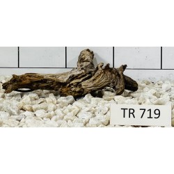 Spiderwood 719