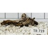 Spiderwood 719