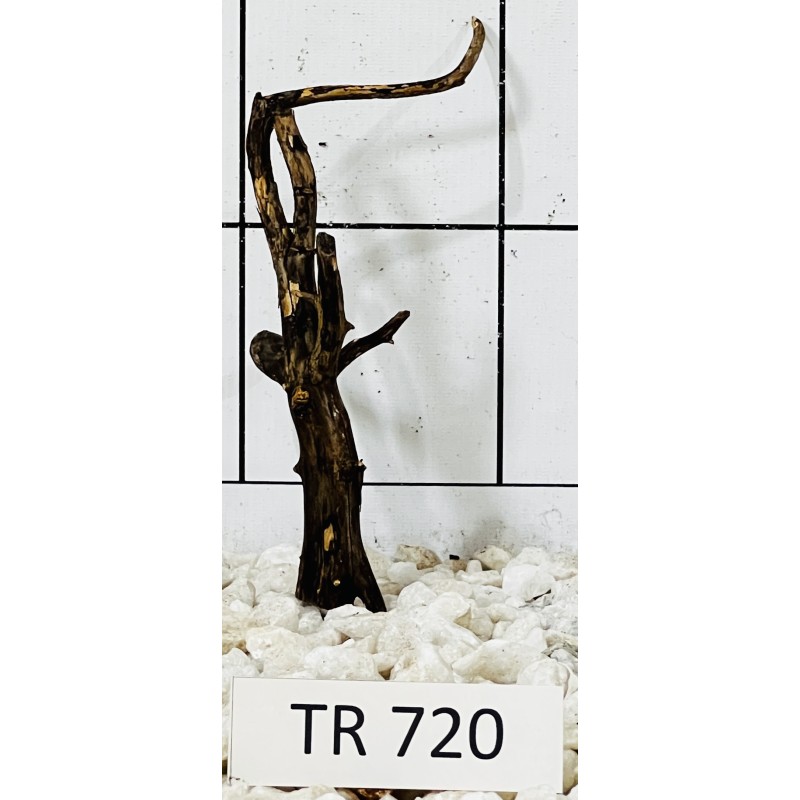 Spiderwood 720