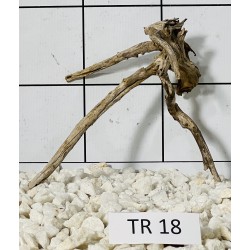 Spiderwood 18