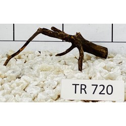 Spiderwood 720