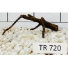Spiderwood 720
