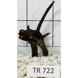 Spiderwood 722