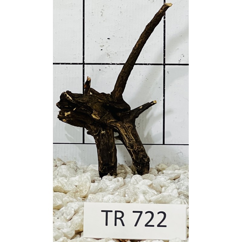 Spiderwood 722