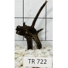 Spiderwood 722