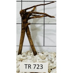 Spiderwood 723