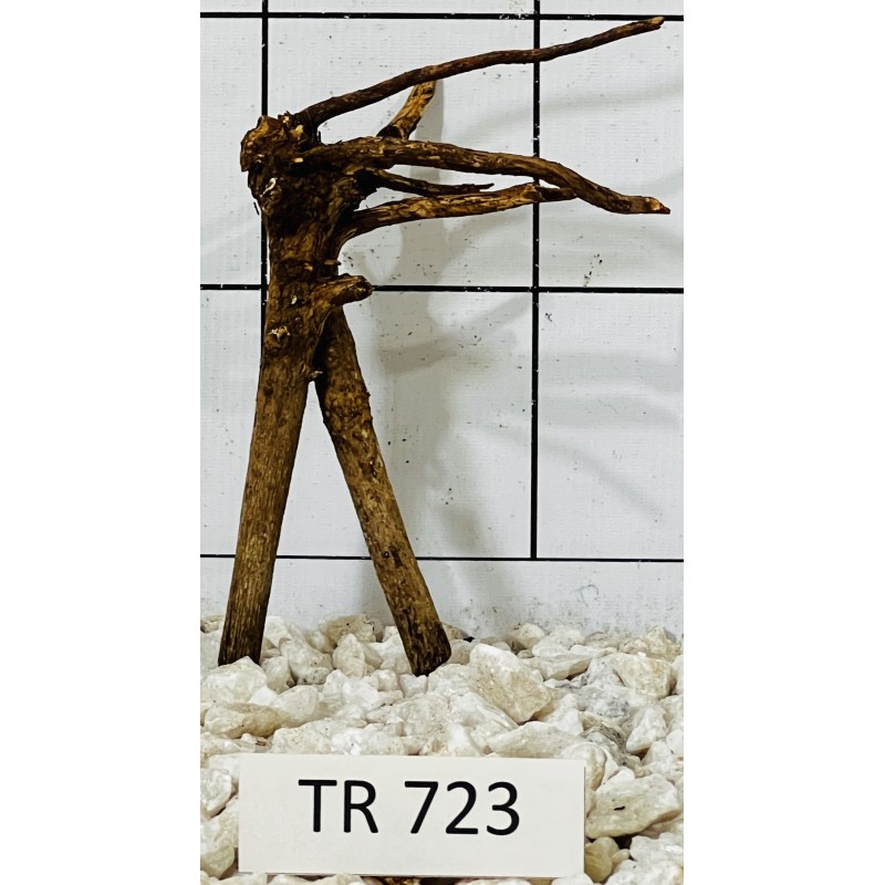 Spiderwood 723