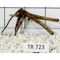 Spiderwood 723