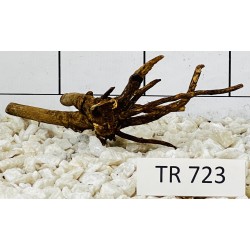 Spiderwood 723