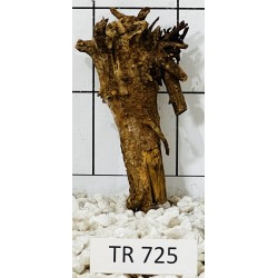 Spiderwood 725