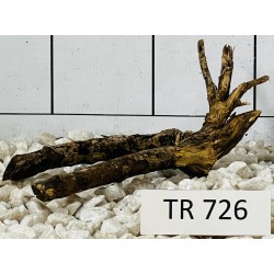 Spiderwood 726