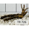 Spiderwood 726
