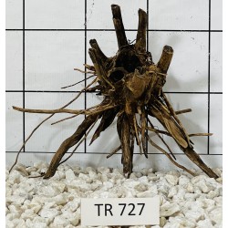 Spiderwood 727