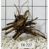 Spiderwood 727