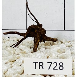 Spiderwood 728