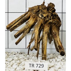 Spiderwood 729