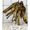 Spiderwood 729