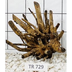 Spiderwood 729
