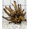 Spiderwood 729