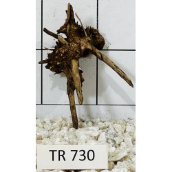 Spiderwood 730