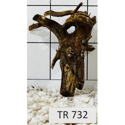 Spiderwood 732