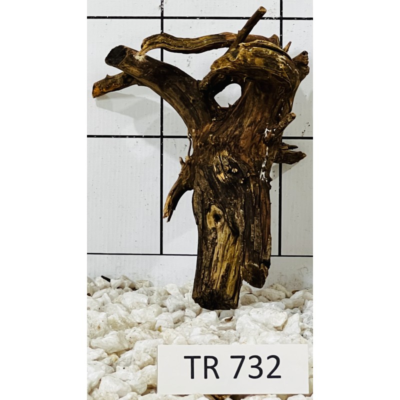 Spiderwood 732