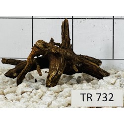 Spiderwood 732