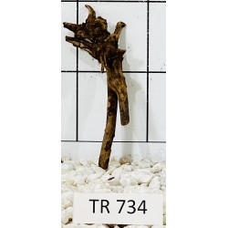 Spiderwood 734