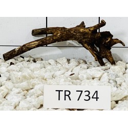 Spiderwood 734