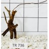 Spiderwood 736