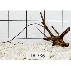 Spiderwood 736