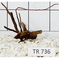 Spiderwood 736