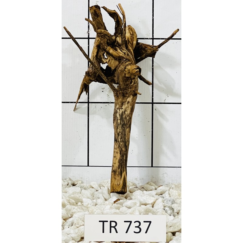 Spiderwood 737